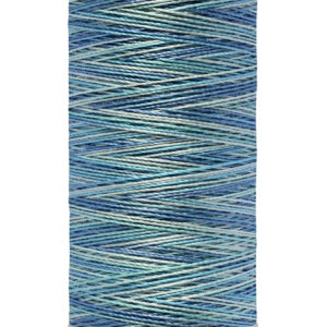 Hilo Bordar / Quilting Matizado Color 4014