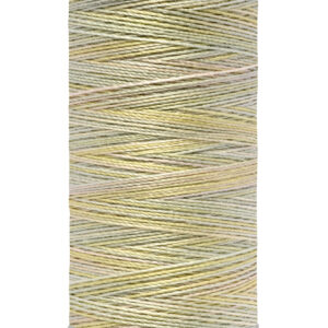 Hilo Bordar / Quilting Matizado Color 4012