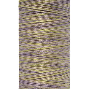 Hilo Bordar / Quilting Matizado Color 4024